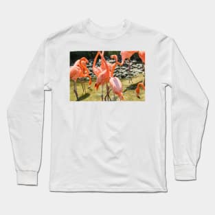 A gaggle of Flamingos Long Sleeve T-Shirt